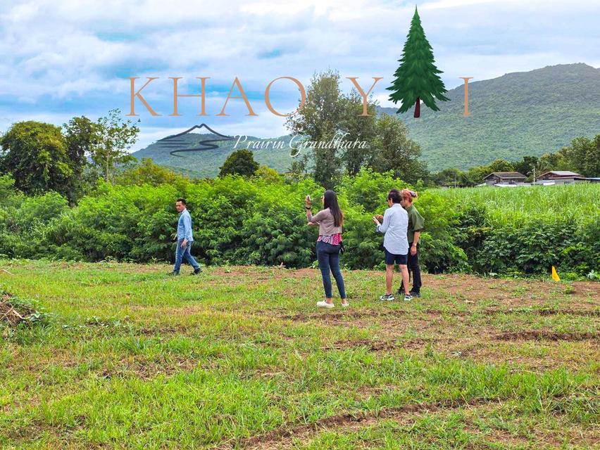 บรรยากาศเขาใหญ่ ปากช่อง #ติดลำธาร  เพียง 7,500/ตรว. ผ่อน12งวด #ฟรีดอกเบี้ย 4