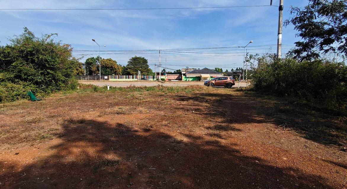 ขายที่ดินบ้านซ่องถมแล้ว 1 ไร่ ติดถนน6เลนเส้น319 ใกล้แยกพนมสารคาม-10กม. อ.พนมสารคาม ฉะเชิงเทรา 1