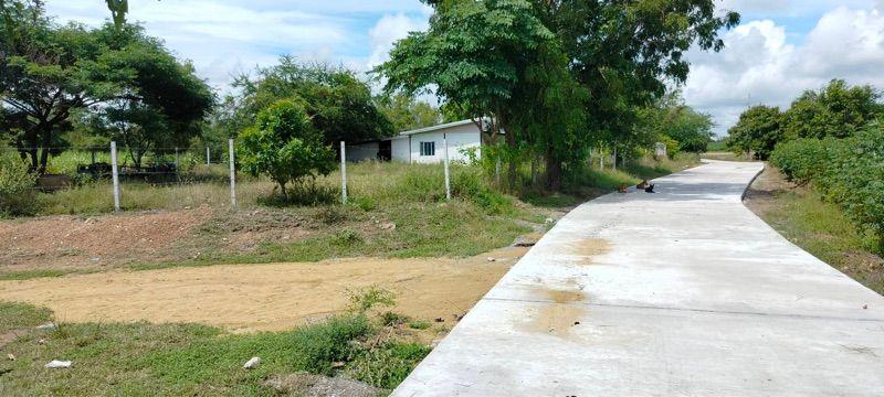 ขายที่ดินเปล่า ทำเลดี ติดถนนปูน ไฟฟ้าถึง จังหวัดสุพรรณบุรี 8