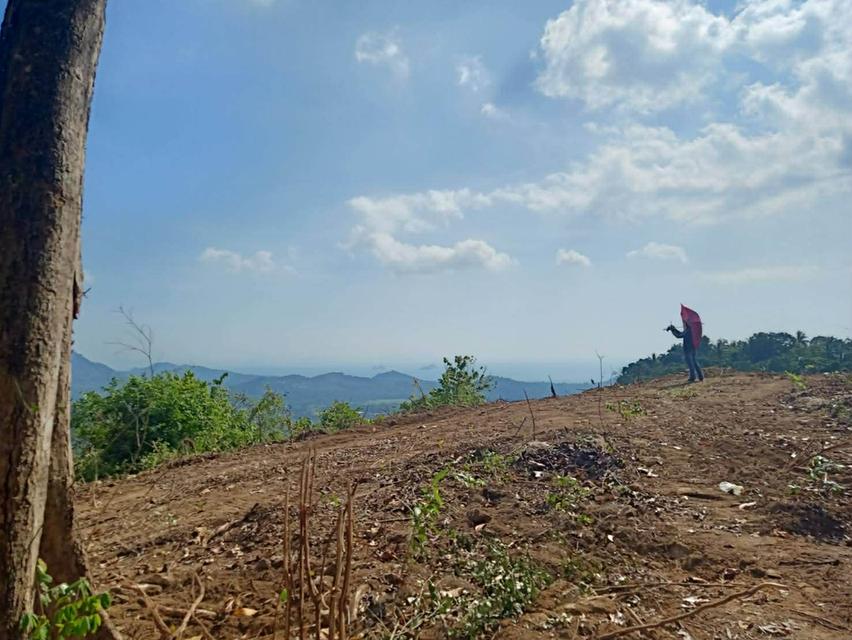ที่ดินวิวทะเล บนเกาะสมุย ประเทศไทย 2