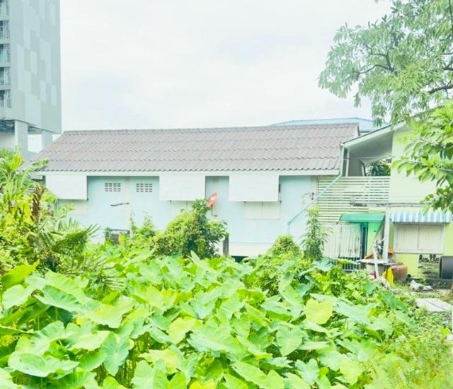 BTS วุฒากาศ 750 ม. บ้านเดี่ยวชั้นเดียว ภาษีเจริญ 2 นอน จัดเต็มเฟอร์ฯ 40 ตร.ม. ม.สยาม 1.6 กม. เดอะมอลล์ ท่าพระ 1.3 กม. ตล 1