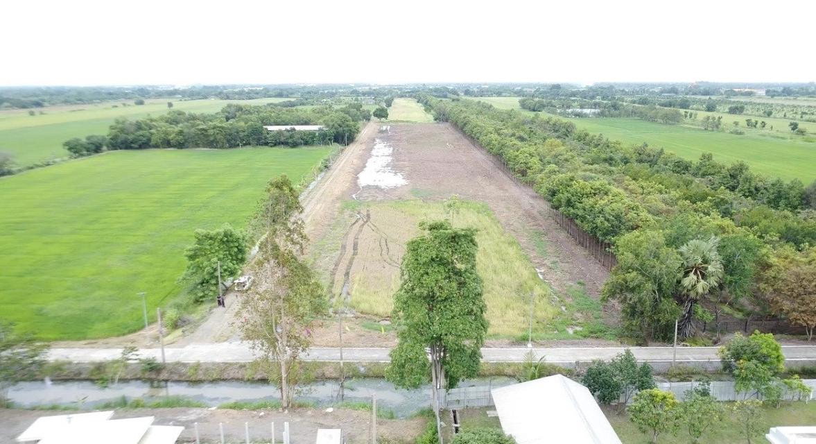 ขายที่ดินเปิดแปลงใหม่ คลอง 11 ตำบล บึงบา อำเภอ หนองเสือ ปทุมธานี 18