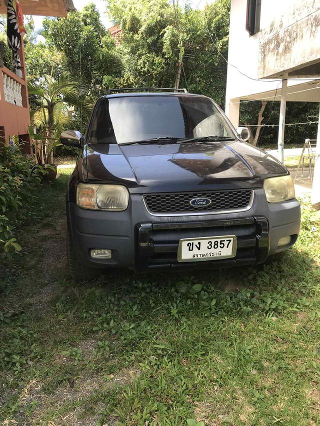 ขายรถยนต์ Ford ปี 2004  3