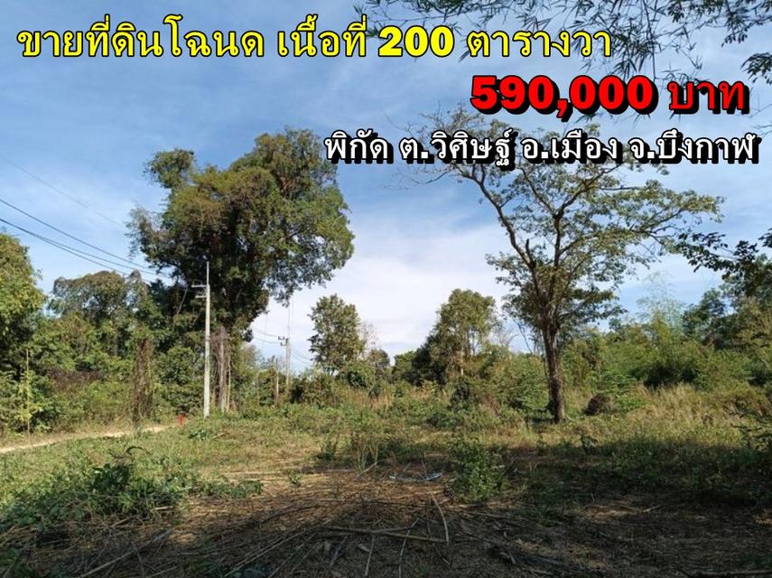 ขายที่ดิน โฉนด ติดร้านอาหารครัวริมบึงโง้ง เนื้อที่ 200 ตร.ว.