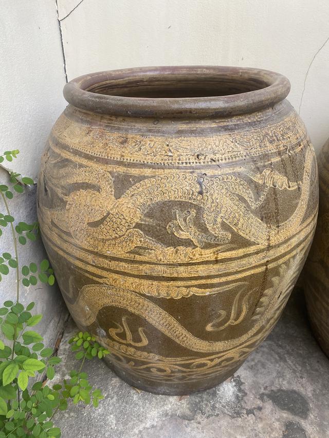 โอ่งมังกรเก่าหลาบใบราคากันเอง