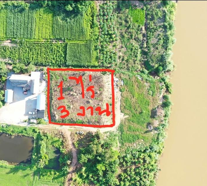 ที่ดินติดริมโขง จ.เลย 1