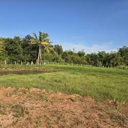 ที่ดินแบ่งขายต.นาฝายชัยภูมิตามงบ 5