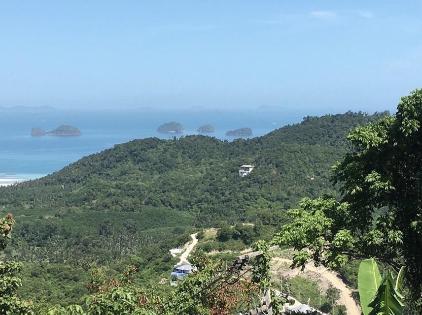 ขายที่ดินวิวทะเล ทำเลทอง เกาะสมุย 11