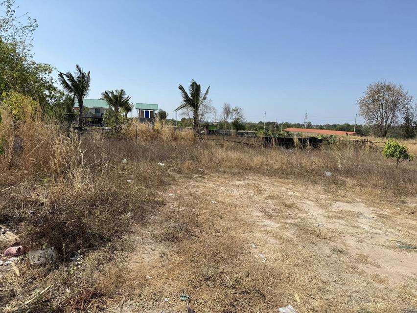 ขายที่ดินหนองปลาไหลถมแล้ว 100 ตรว. ซอยเทพนิมิตร3 ใกล้ถ.กระทิงลาย-ปลวกเกตุ36-4กม. อ.บางละมุง จ.ชลบุรี 7