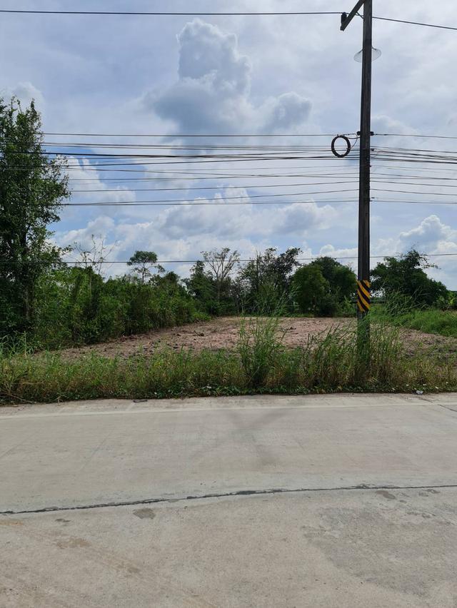 🏡 ขายที่ดิน หนองบอนแดง บ้านบึง ชลบุรี  📍 ทำเลดี ติดถนนสาธารณประโยชน์ 3