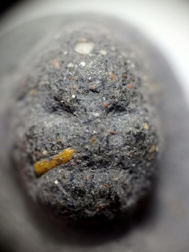 หลวงปู่ทวดเนื้อว่าน 2497