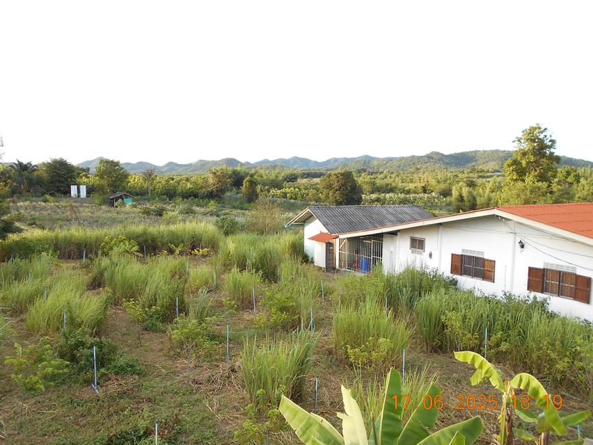 ขายที่ดิน 10 ไร่ พร้อมบ้าน ติดลำห้วย 3 สาย ต.บ้านบึง อ.บ้านคา จ.ราชบุรี 8