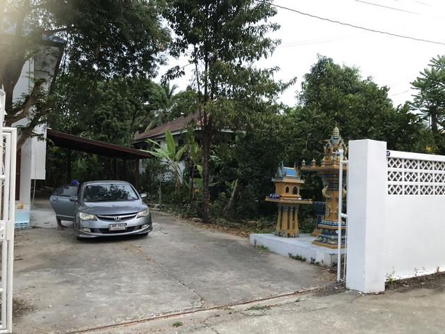 สู่ยุคหาทรัพย์ดีเอื้อเศรฐกิจ บ้านปูน 1 ชั้น ต.บางเลน อ.บางใหญ่ 100 วา แหล่งเจริญ นนทบุรี เนื้อที่ ราคาคุยได้ค่ะ 1