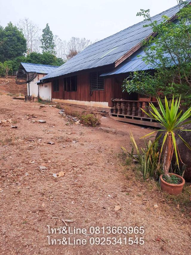 บ้านพร้อมที่ดิน อ.ปาย จ.แม่ฮ่องสอน 11