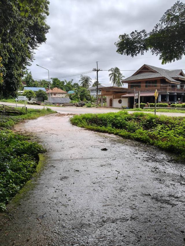 ที่ดิน ทำเลติดภูเขา จ.น่าน 8