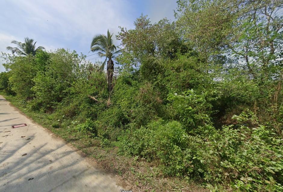 ขายที่ดิน 4 ไร่ 62 ตร.ว. ซอยกุยบุรี 7 ใกล้ถนนเพชรเกษม จ.ประจวบคีรีขันธ์ 5