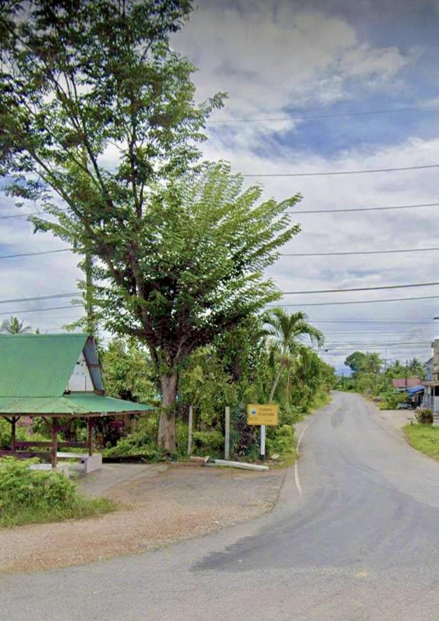 ขายด่วย ที่ดินถมให้สูงสุดแล้วค่ะ 2