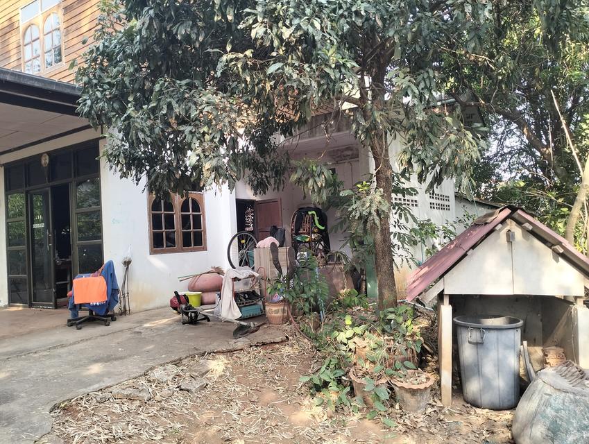บ้านพร้อมที่ดิน ต.ละหาน อ.จัตุรัส จ.ชับภูมิ 4