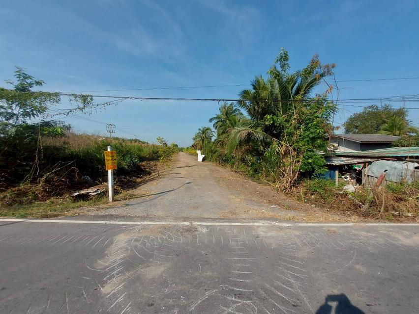 ขายที่ดินเปล่าคลอง10 หนองเสือ ใกล้วัดแสงมณี 5