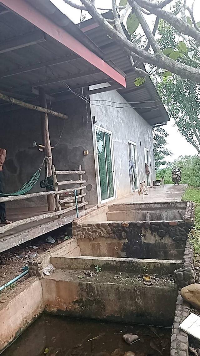 ที่ดินทองผาภูมิ 10