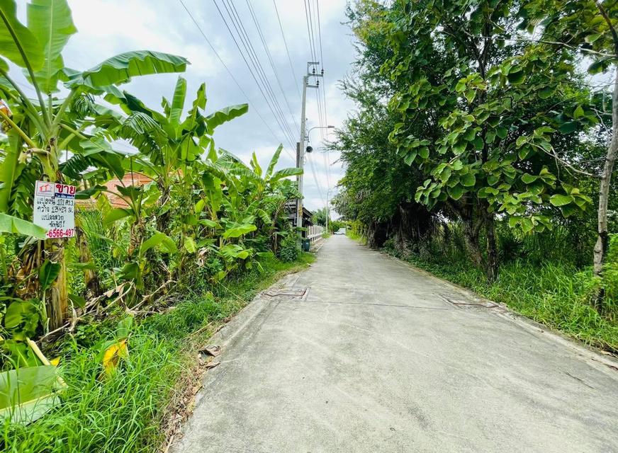 ขายที่ดินถนนเทพารักษ์ ซอยกู้พาราฝั่งใต้ 4