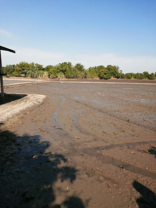 ที่ดิน 1 ไร่ 60 ตารางวา อยุธยา 2