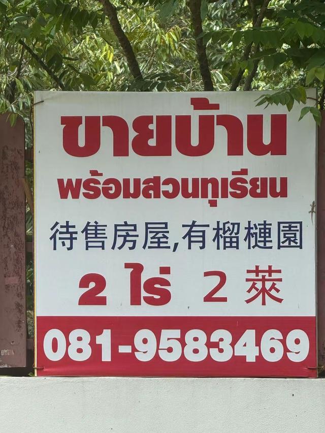 ขายบ้านพร้อม สวนทุเรียน2ไร่ ปลวกแดงระยอง 1