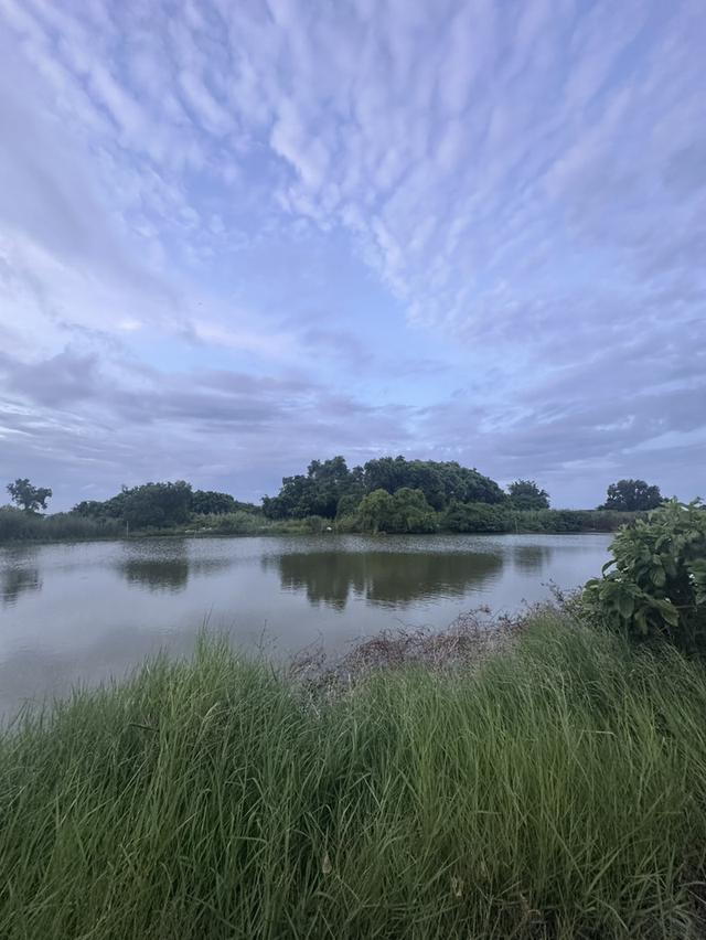 ที่ดินแปลงใหญ่ ทำเลศักยภาพ ใกล้นิคมอุตสาหกรรมบางพลี ถนนเทพารักษ์ ทางพิเศษบูรณาวิถี 3