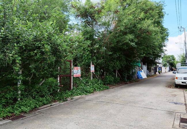 ขายที่ดิน ซอยมัยลาภ(ประเสริฐมนูกิจ 29) ลาดพร้าว กรุงเทพมหานคร เนื้อที่ 85 ตร.ว. 3