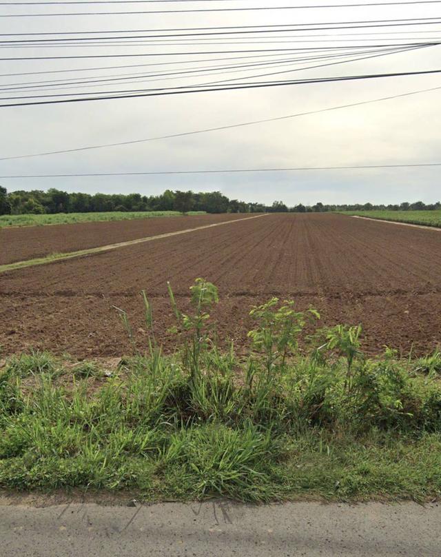 ขายที่ดิน27ไร่ตำบลท่าเยี่ยมอำเภอโชคชัยจังหวัดนครราชสีมา 4