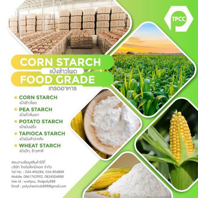 แป้งข้าวโพด, Corn Starch, คอร์นสตาร์ช, สตาร์ชข้าวโพด, Native Starch, Modified Starch 1