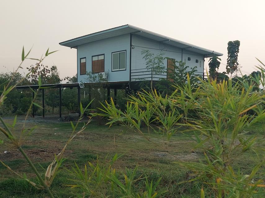 ที่ดินสองไร่พร้อมบ้านสวน 13