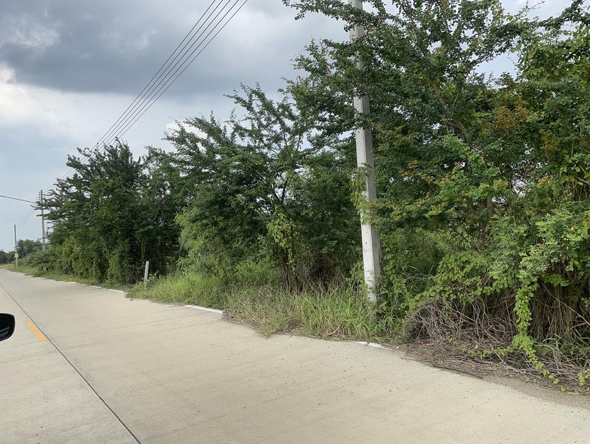 ที่ดิน จ.ปทุมธานี อ.สามโคก ต.คลองควาย 8