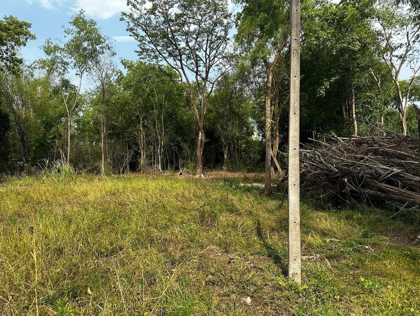 ที่ดิน เขตเทศบาลเมืองอุทัยธานี ตำบลอุทัยใหม่ อำเภอเมือง จังหวัดอุทัยธานี 7