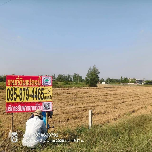 ขายที่ดินใกล้ราชภัฏสวนสุนันทา 317 ตารางวา ติดถนนสาธารณะ ต.คลองโยง อ.พุทธมณฑล จ.นครปฐม 2