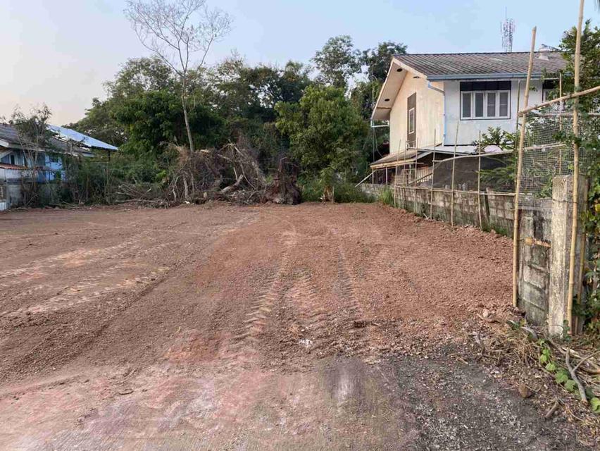 ขายที่ดินหนองคาย 1 งาน 1,400,000 บ. 3