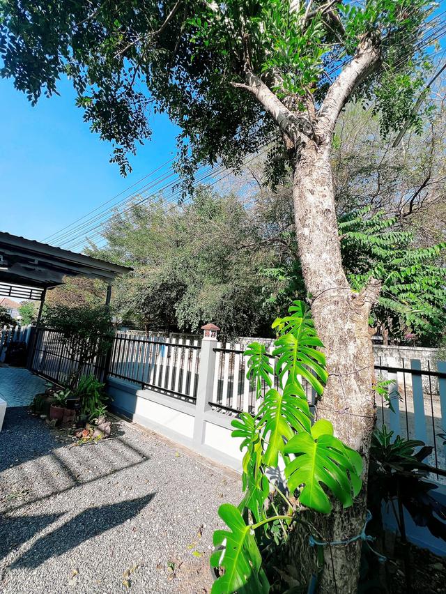 บ้านเดี่ยว2ชั้น 65 ตร.ว.พื้นที่ใช้สอย 143 ตร.ม. (2.99 ลบ.) 3 นอน:2น้ำ:2จอด 15