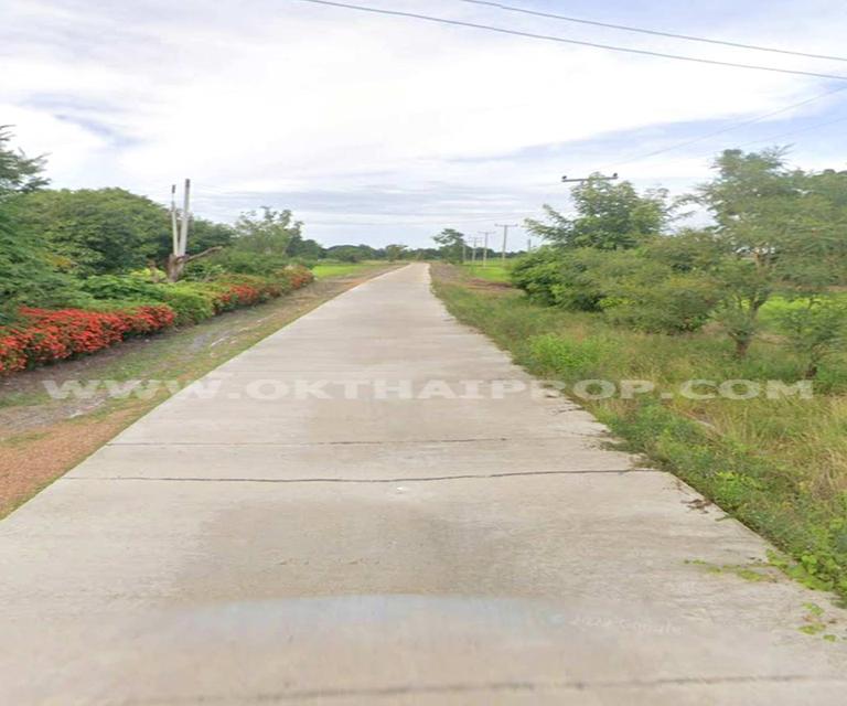 ที่ดิน ถ.ทล.ชนบทพิจิตร3016 ต.วังสำโรง อ.บางมูลนาก จ.พิจิตร 7