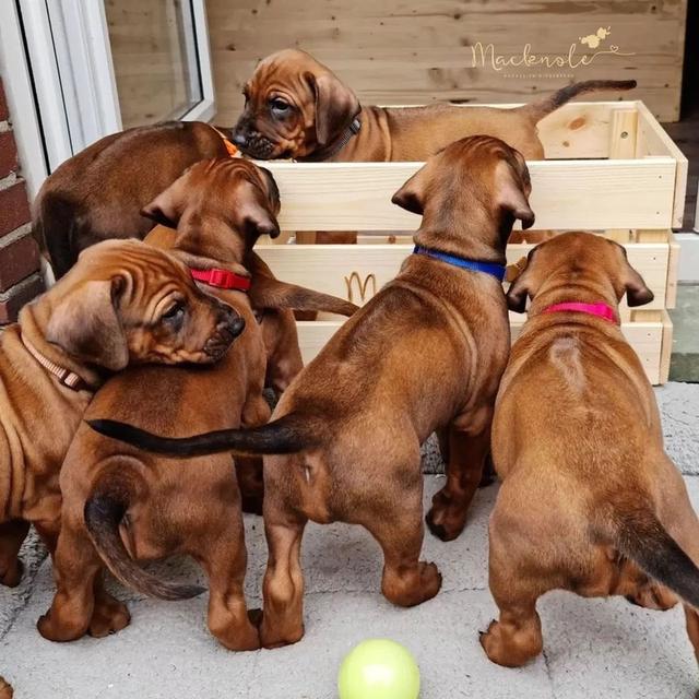 mini product image 2