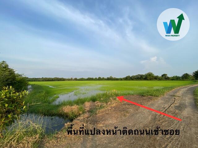 ขายที่ดินเปล่า 68-3-20 ไร่ อ.บ้านโพธิ์ จ.ฉะเชิงเทรา 2