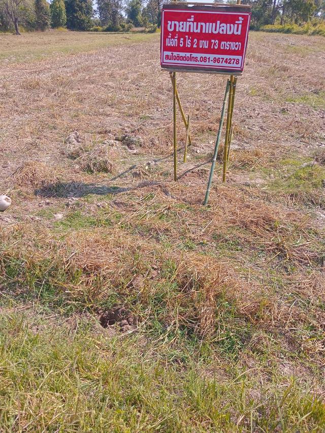 ขายที่ดินเพื่อการเกษตรหรือจัดสรรเพื่อที่อยู่อาศัย 2