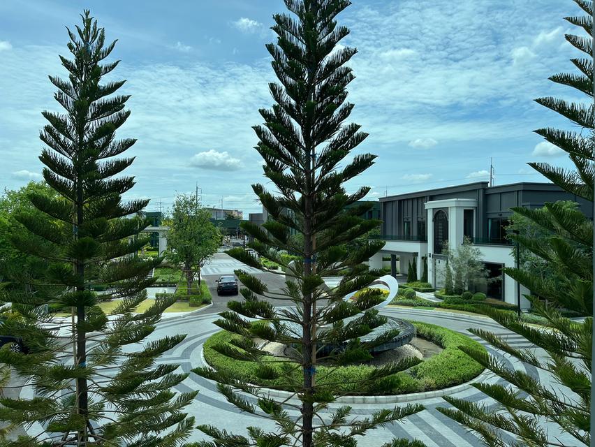 #ขายบ้านเดี่ยวหรู Belgravia Exclusive Ratchaphruek – Rama 5 บ้านหลังใหญ่ 500 ตร.ม. หลังมุม Special Price 38.9 ล้านบาท 14