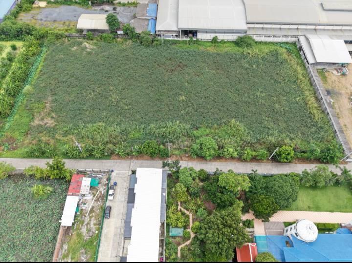 ขายที่ดิน ซอยคลองสาม 5/9 (ซโรงเรียนวัดเกิด) แบ่งขาย 3-5 ไร่