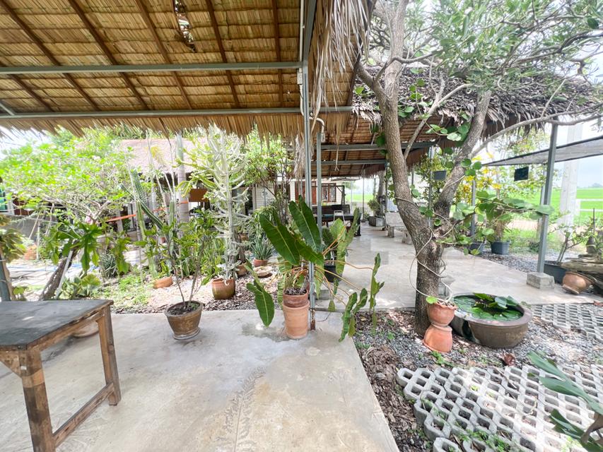 ขาย ที่ดินจัดสรร ลำลูกกา คลอง16 องครักษ์ 7