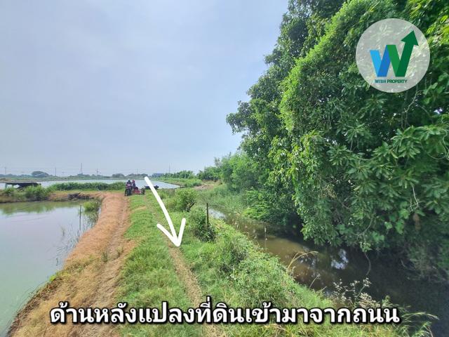 ขายที่ดินในบางปะกง ฉะเชิงเทรา ต.หอมศิล ขนาดพื้นที่ 1 ไร่ 3 งาน 65.8 ตารางวา 6