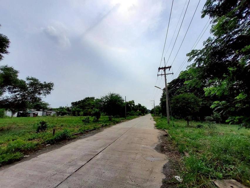 V ายถูกที่ดินใกล้วัดโพธิ์นิ่ม 225 ตารางวา(แบ่งได้) ถมแล้วทั้งแปลง ติดถนนคอนกรีต อ.สามโคก จ.ปทุมธานี 7