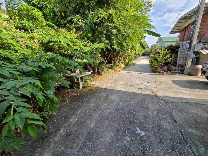 ขายถูกที่สุดที่ดินทำเลดี 53 ตารางวา ติดถนนลาดยางสาธารณะ ซอย ร่มโพธิ์ทอง 14 อ.บางบัวทอง จ.นนทบุรี 6