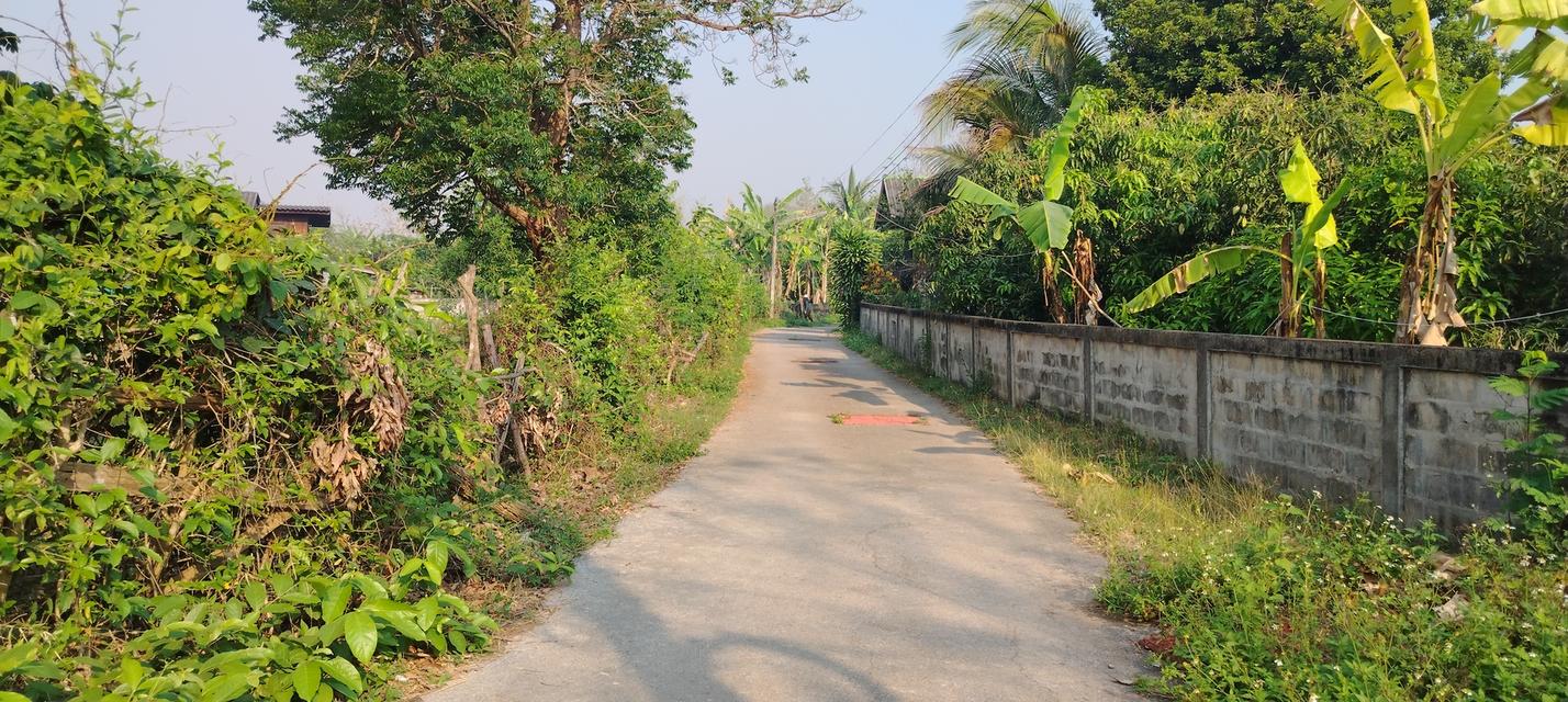 ที่โฉนดวิวเขา ห่าง อบต 1กิโล ที่หน้ากว้างติดถนน80เมตรวิวสวยมากใกล้ชุมชน 15