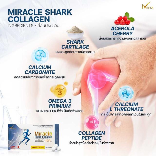 คอลลาเจน ดูแลข้อเข่า กระดูกอ่อนปลาฉลาม🇯🇵SharkCartilage รูปที่ 10