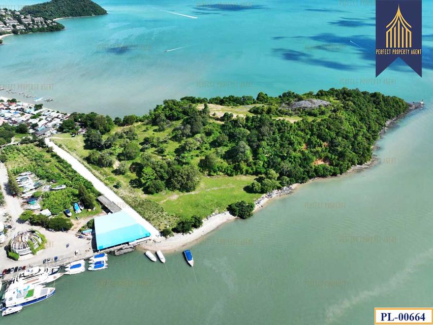 ขายที่ดิน ติดทะเล 51 ไร่ ภูเก็ต เกาะสิเหร่ ใกล้ท่าเรือรัษฎา ไปเกาะพีพีและอ่าวต้นไทร 6